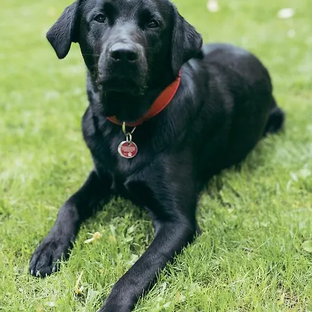 Liho - Einfach ホテル リューベック